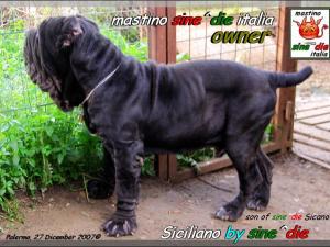 Siciliano by sine^die 27 dicembre 2007,,