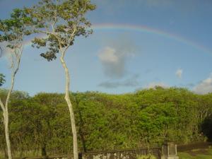 DSC00664
