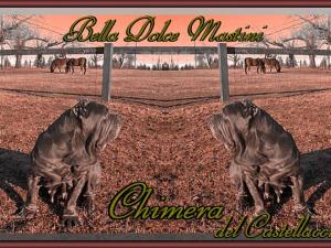 Chimera del Castellaccio,,,