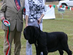 BIS-IMG_8093