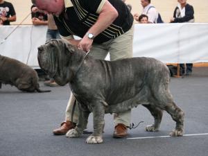 IMG_0667