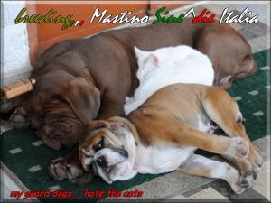 Sine^die Osiride with my Bulldog
