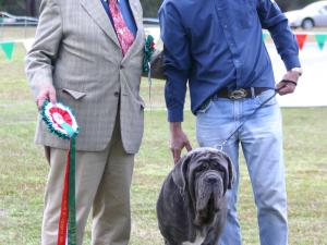 puppyIMG_8070