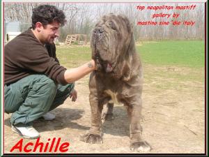 Achille16 ooo