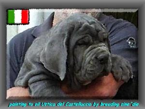 Ustica del Castellaccio daughter of sine^die Sicano 75 painting to oil.. bis
