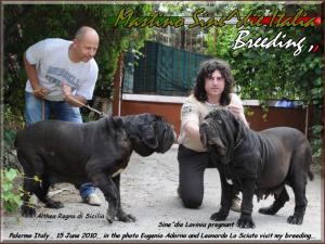 gradita visita al mio allevamento 15 Giugno 2010....