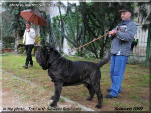 Scisciano 2009,