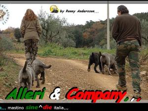 Alleri & Company,,,.bis jpg