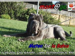 Mateo De la Baia,,, owner Mike by machinemachine USA California,,