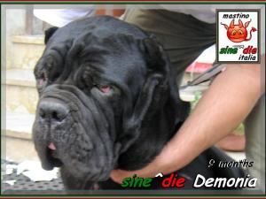 Demonia sine^die a 9 mesi,,,