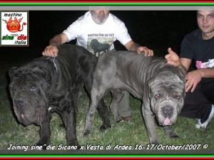accoppiamenti sine^die Sicano