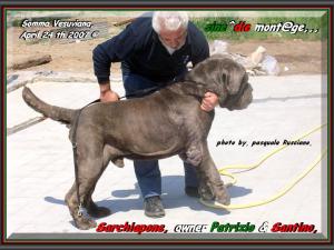 Sarchiapone,,, owner Patrizio & Santino,,, sine^die mont@ge,,,