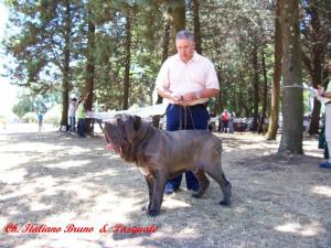 pasquale rusciano - bruno cac bob telese