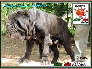 Hector potho 052