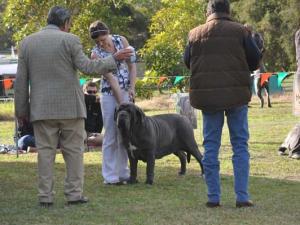 dolce judge DSC_0300