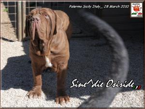 Sine^die Osiride 28 Marzo 2010,,