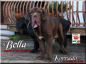 Korrado,,, Bella,,, 17 september 2009
