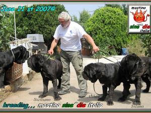 Hector potho 048 bis 1000 pixel