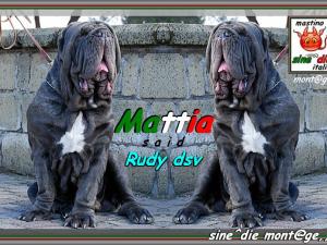 Rudy by dsv,,, Said Mattia,,,