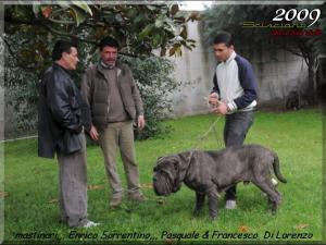 Scisciano 2009 ,,,