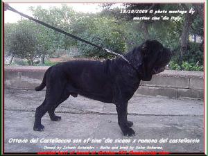 by sine^die ottavio del castellaccio 00x