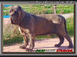 Julio dello stradone