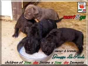 Cuccioli di Demonia & Sicano Sine^die,,, Palermo 01 March 2008,oxo