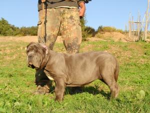 SANY0060_1