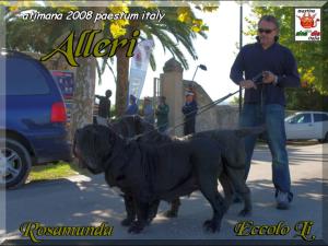 ATIMANA 2008 PAESTUM ITALY Rosamunda ed Eccolo li degli alleri