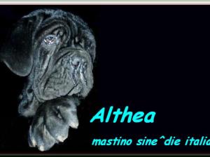 children of sine^die Sicano in the world by Althea 1
