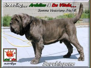 Sarchiapone mont@ge sine^die,,,