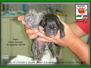 figli di Clotilde by Ardolino x sine^die Sicano,,, 22 september 2007,