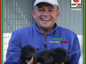 Cuccioli di sine^die Sicano x Clotilde proprietario Santolo Ardolino,,,