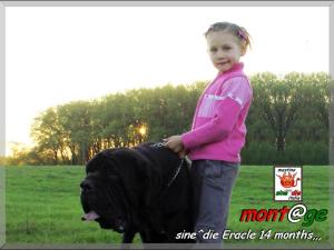 Sine^die Eracle & Bambina,,,