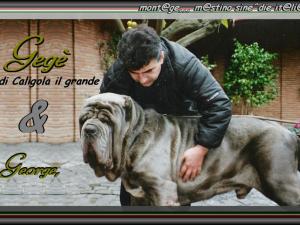 Gege di Caligola il grande. & George,,,