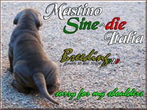 Sine^die Palermitana scusate le spalle