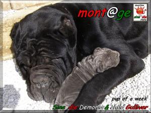 Cuccioli di Demonia & Sicano Sine^die,,, Palermo 18 Febbraio 2008,,,