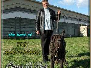 Patrizio De Vitale ooo
