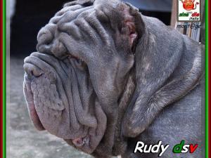 Rudy dsv,,, by Seve Cox montage sine^die,,,
