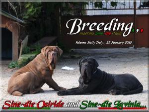 Sine^die Osiride and Lavinia