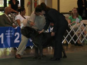 2010-Nationals-45