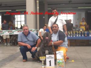 Pasquale - Bruno - BIS - TMQ