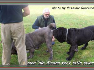 Sicano sine^die,,, napoli 24 aprile 2007,,,