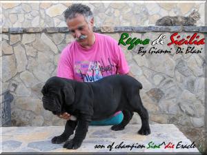 Ivan Regno di Sicilia,,,,,
