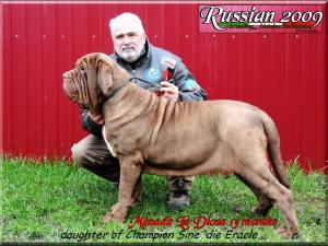 Russian November 2009,,