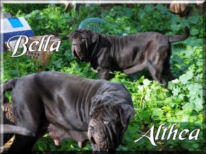 Bella & Althea