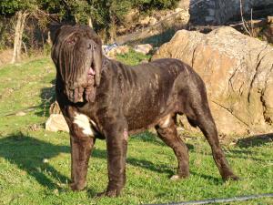 SANY0363