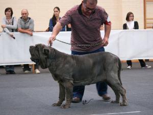 IMG_0687
