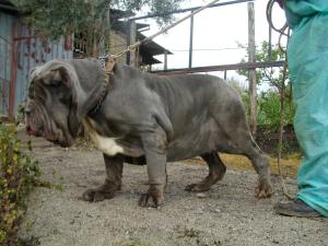 SANY0419