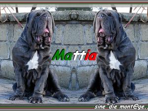 Mattia